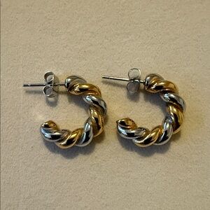 Elegant Gold and Silver Twisted Hoop Earrings